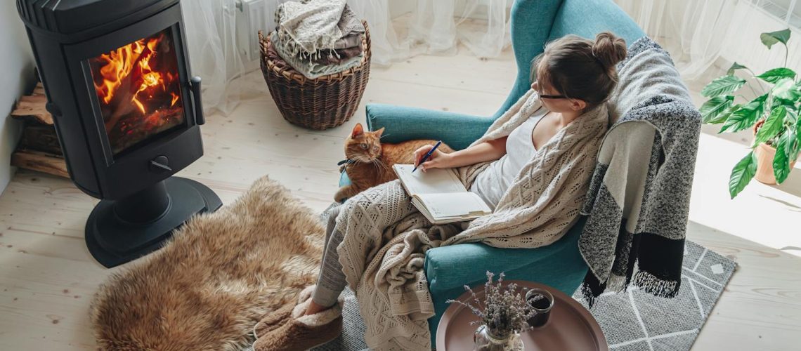 Poêle à bois : quels dangers ? Comment prévenir les risques ? Poêle à bois : quels dangers ? Comment prévenir les risques ?